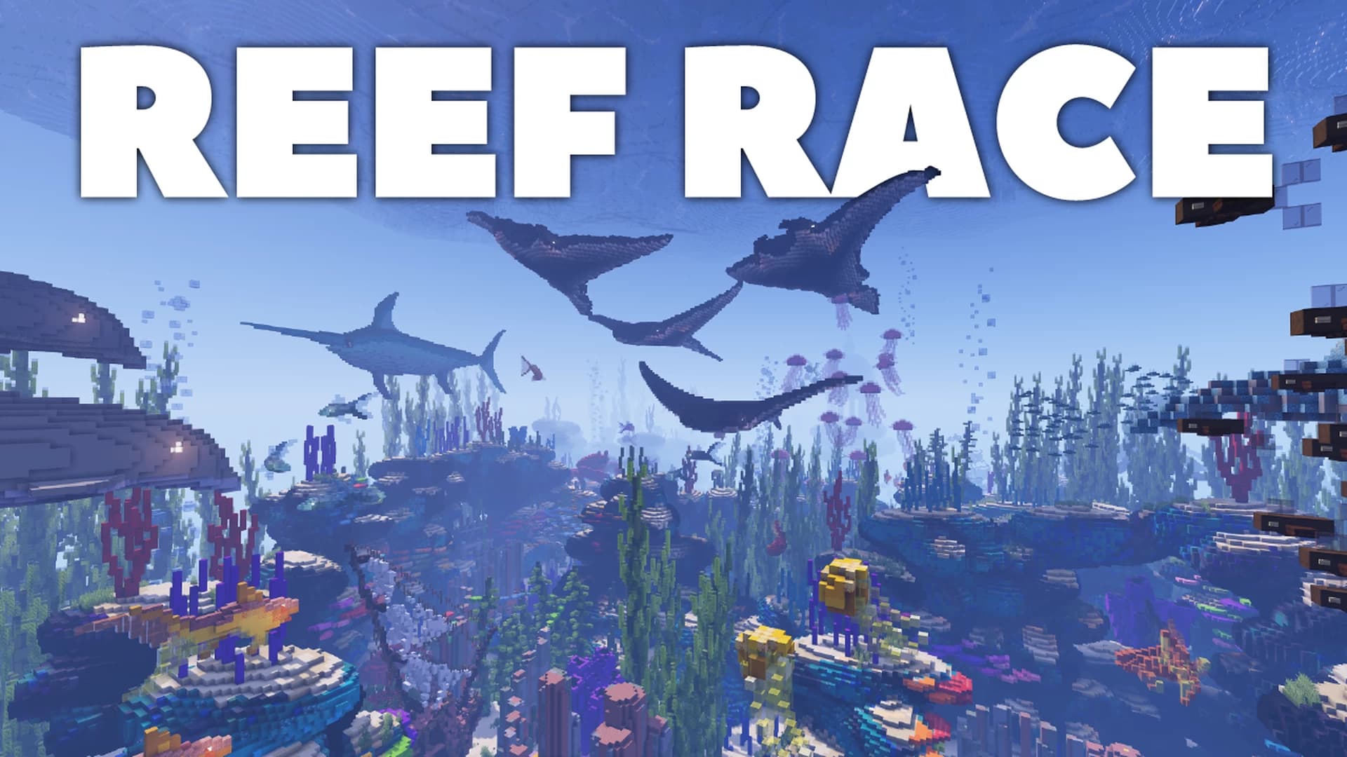 MinecraftのマップReef Raceのロゴ